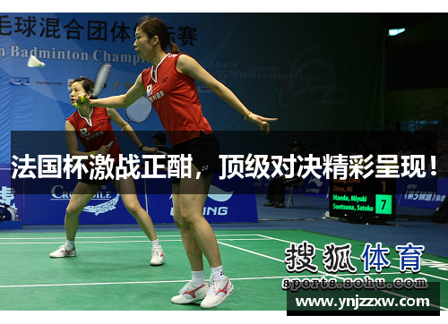 法国杯激战正酣，顶级对决精彩呈现！