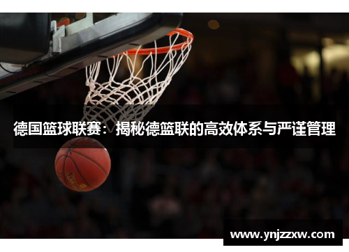 德国篮球联赛：揭秘德篮联的高效体系与严谨管理